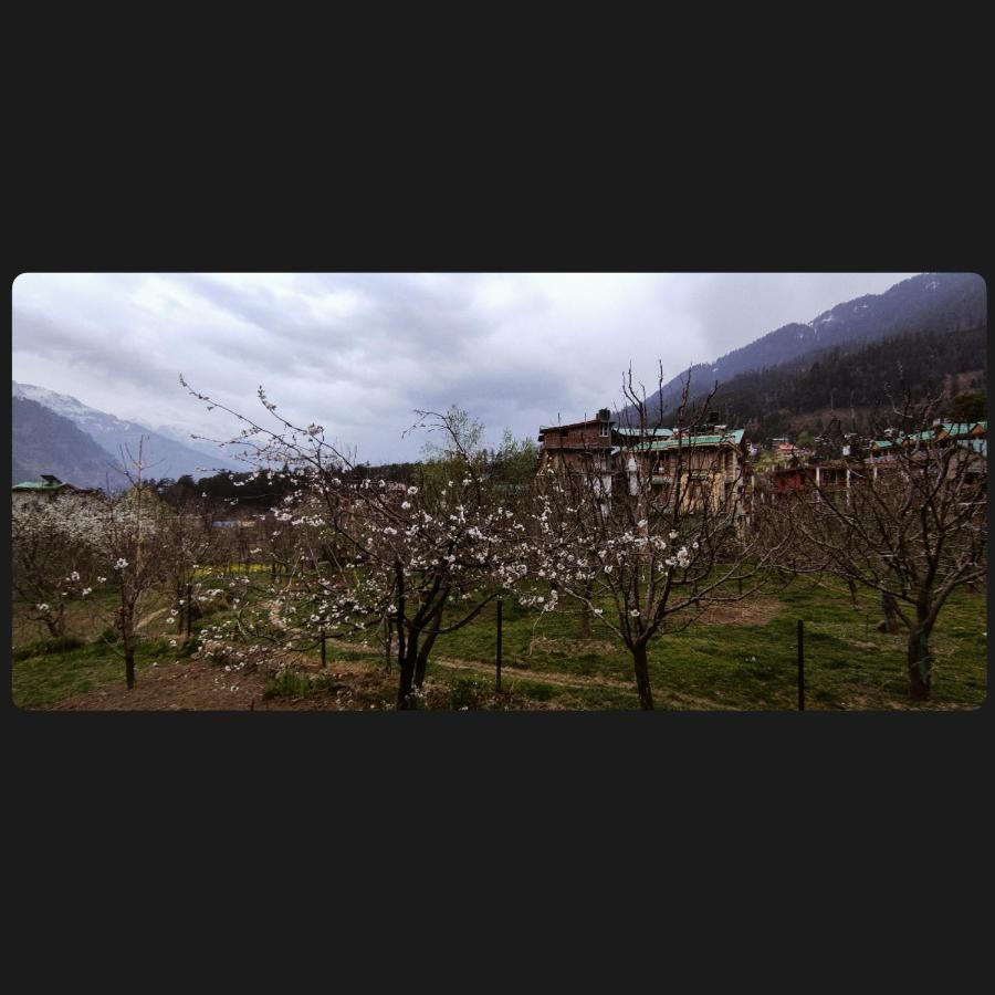 Хостел Yolo Backpackers - Manali Екстер'єр фото